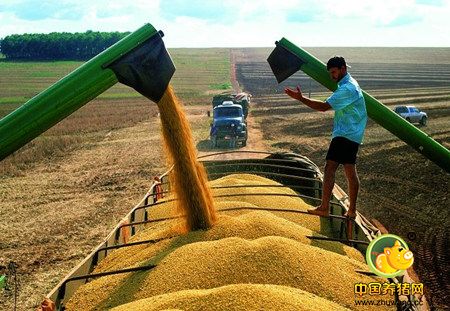 美国农业部上调已经创纪录的美国大豆产量预测值