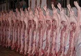 2016年10月全国规模以上生猪定点屠宰企业屠宰量