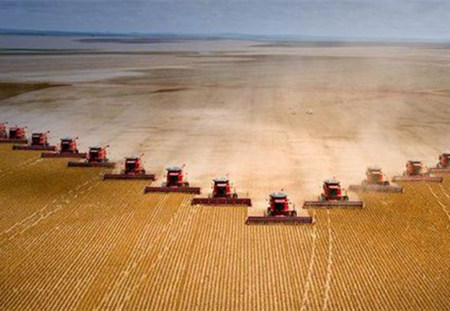 农业部大豆分析：预计未来国产大豆价格将保持稳定