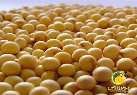 12月供需报告：美豆产量及库存均与上月预估持平