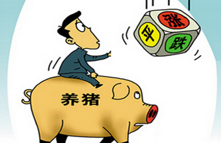 春节，将是猪价最后一次出逃的机会？