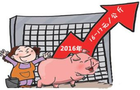 元旦前生猪价格平稳 预计明年一季度仍将高位运行