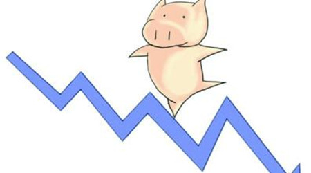 预计今年四季度乃至2017年，猪价都将延续下降趋势