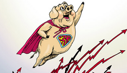 东北上涨区域扩大，生猪价格继续稳中上涨迎新年