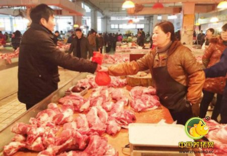 新华社：去年生猪价有如过山车 2017年价格或稳中有涨