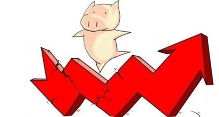 预计2017年生猪价格逐步回落 8元/斤是高位价格