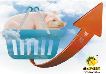 分析：猪肉需求逐步回升 猪价止跌企稳