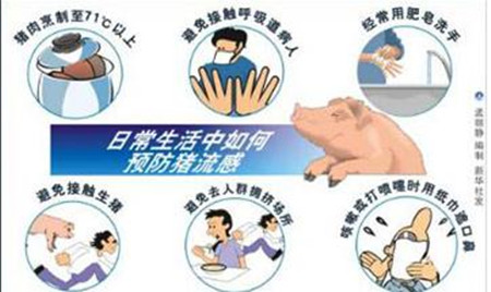 天气骤变小心猪流感，注意症状及其防治措施