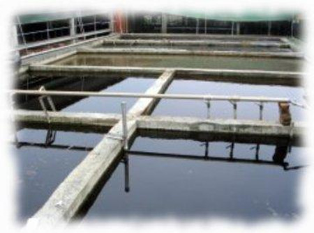 养猪场常用的三种供水设备介绍