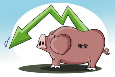 猪价已跌破去年最低点，结算价继续回落!