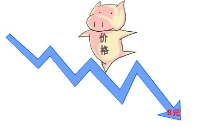 全国生猪市场“跌声一片” 部分回落8元以内