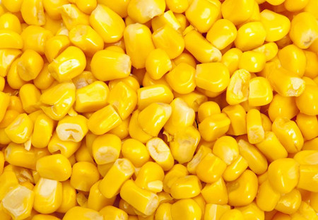 玉米仨月暴涨200元！为何？养殖户啥时出手最合适？