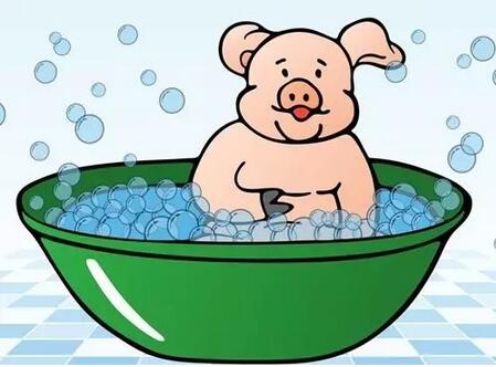 猪夏季降暑莫喷冷水！