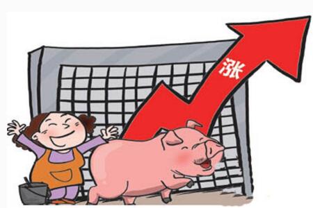 猪价全线大涨，这是要开启暴涨模式了吗？