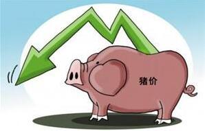 8月28日供需激烈博弈 猪价小幅调整 东北局部上涨