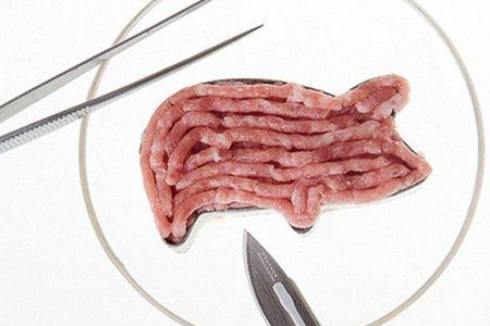以色列“人造肉”逐渐被人们重视，养猪人会面临压力吗？
