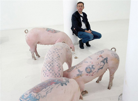 艺术家给猪纹身卖47.3万元，香奈儿还买走两头做包包