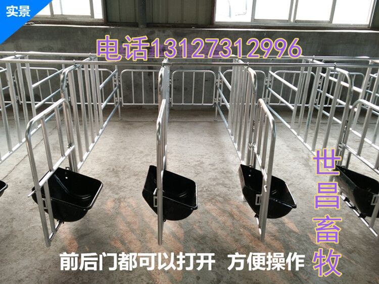 母猪定位栏现代养猪设备定位栏怀孕母猪限位栏
