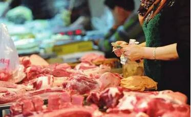 关于猪养殖的几个小常识——猪肉到底可不可以放心吃？