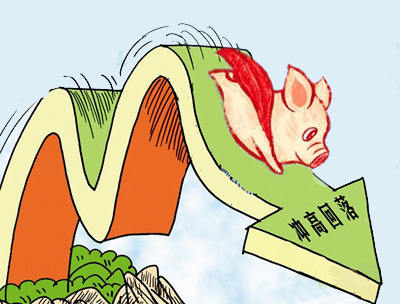 长沙绿叶——冬季如何有效提高仔猪成活率？