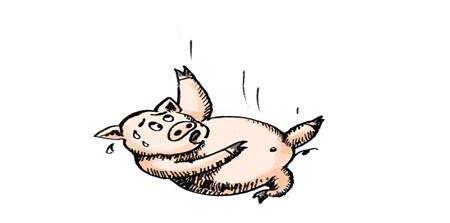中国将建数百“超大猪场”，产能过剩加剧或将出口猪肉？