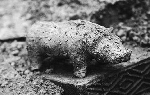 猪对古人来说多重要？饲养历史追溯到10000年前，死后还用猪陪葬