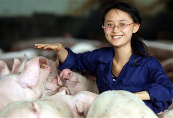 美女大学生毕业后去养猪，被同事称为“养猪公主”
