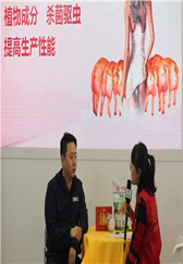 “植物提取物替代抗生素”——中国养猪网专访无锡正大执行副总裁叶飞先生