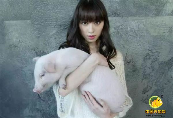 这很可以，简直很符合的气质，比如大师筱山纪信镜头下抱着猪的栗山千明。