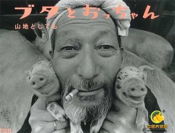 以及这位日本摄影师蹲守养猪场十年，记录农夫Otchan和猪的亲密关系，并最终集结成《Pigs and Papa》一书。