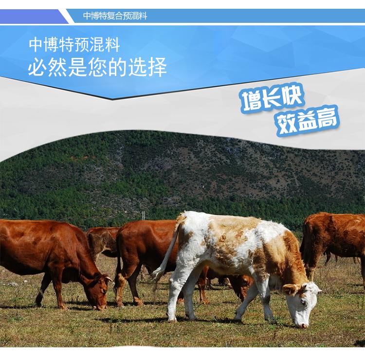 4%育肥牛专用预混料产品特点