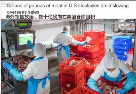 关税大棒打到自己，20多亿斤肉堆在美仓库！