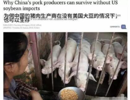 没有美国大豆，中国猪农为何还过得好好的？