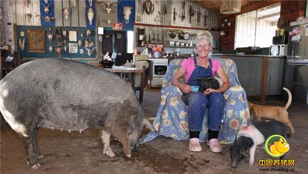Lindy Haynes放弃了在悉尼训狗师的工作，来到乡村追寻自己梦想中的生活。她现在住在开车距离悉尼4小时的新南威尔士乡间，照顾着一群猪、一匹马、一条狗、一群鸡、几只猫还有袋鼠，过着简单的美好生活。