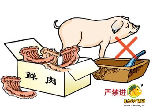 严禁从有非洲猪瘟疫情的国家或地区进口猪及其产品。
