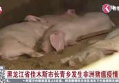黑龙江佳木斯市发生非洲猪瘟疫情，发病39头死亡12头！