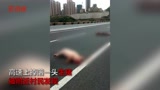 1死2伤！重庆3村民高速上捡生猪被撞！