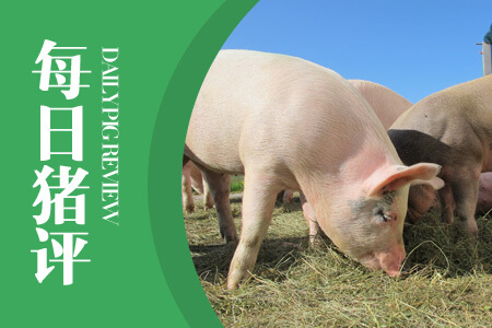 09月12日猪评：疫区邻近省份生猪禁止调运，短期猪价涨跌或频繁！