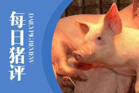 09月17日猪评：禁止调运地区增至18省，猪价继续下跌！