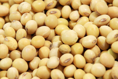 海关总署：允许进口符合要求的印度菜籽粕
