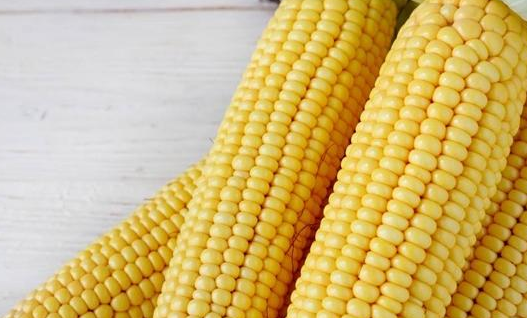 华北玉米价格两度突破2000大关为哪般？