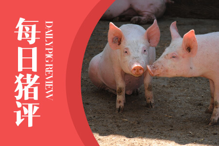 10月27日猪评：非洲猪瘟频繁发生 猪价呈现涨跌调整态势