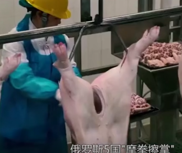 5国争相进入中国猪肉市场，中国也即将出手！猪价有望下跌