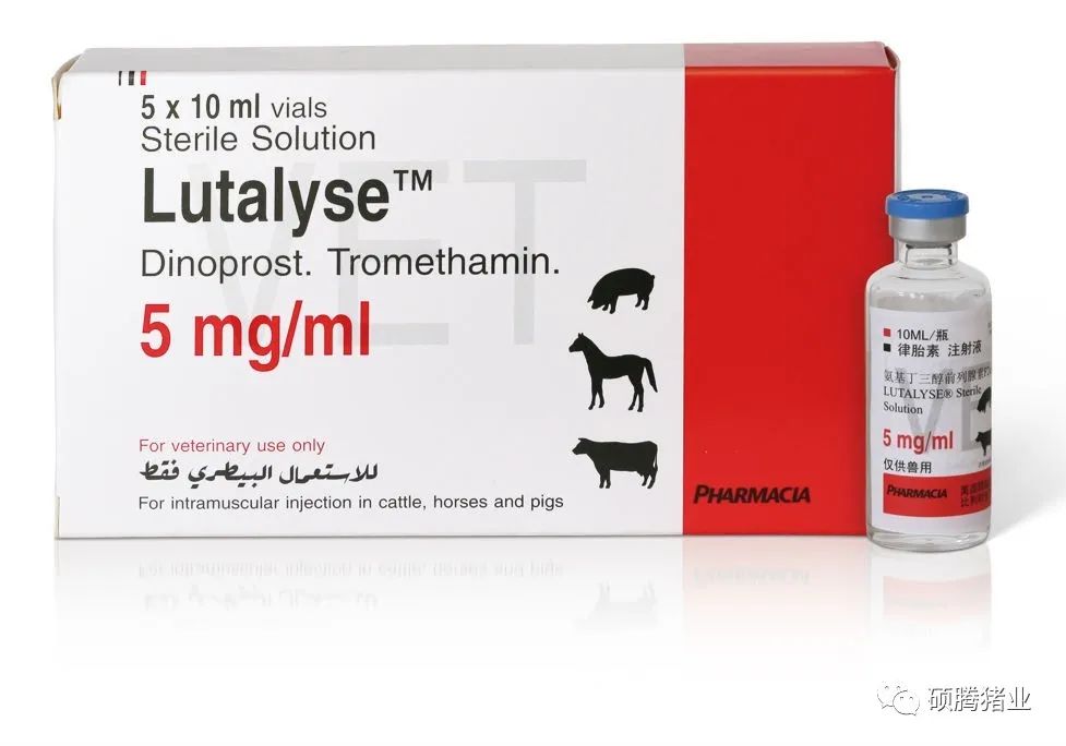 为何应用律胎素（Lutalyse®）可以诱导分娩？诱导分娩对于预防猪瘟有何帮助？
