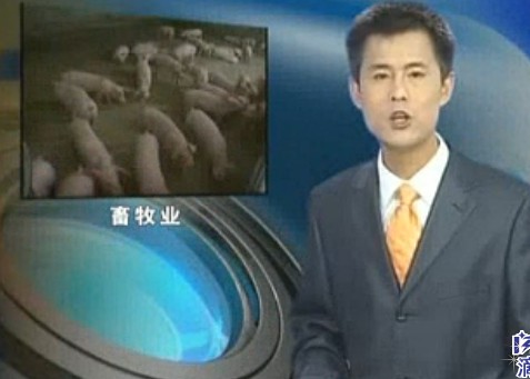 凤庆县建成全市最大规模现代养猪场